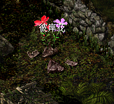 QQ图片20231121225654.png
